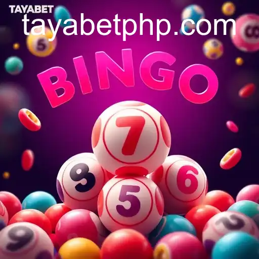 Exploring the Fascinating World of Bingo Games with TAYABET