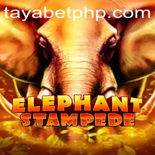 ElephantStampede: Dive Into the Exciting World of TAYABET